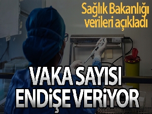 Son 24 saatte korona virüsten 248 kişi hayatını kaybetti