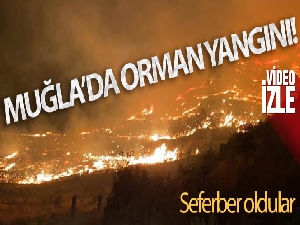 Dalaman yangını kontrol altında