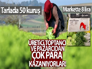 Tarlada 50 kuruş, markette 8 lira