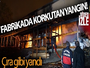 Ahşap üzerine faaliyet gösteren fabrika alevlere teslim oldu