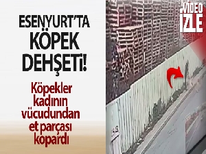 Esenyurt'ta köpek dehşeti kamerada: 2 yaralı