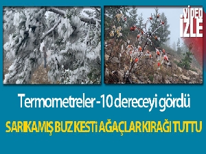 Sarıkamış buz kesti, ağaçlar kırağı tuttu