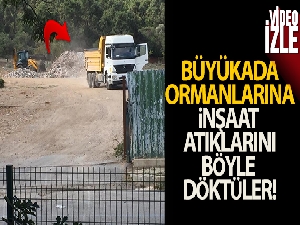 Büyükada'da inşaat atıklarını ormanlık alana döktüler