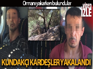 Ormanı yakan iki kardeş yakalandı