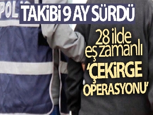 28 ilde eş zamanlı 'Çekirge operasyonu'