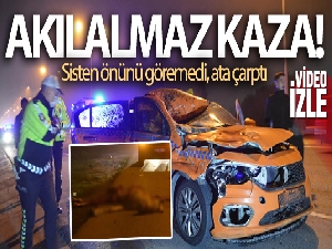 Ticari taksi seyir halindeyken önüne çıkan ata çarptı