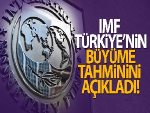 IMF: 'Türkiye ekonomisi 2021'de yüzde 9 büyüyecek'