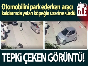 Otomobilini park ederken aracı kaldırımda yatan köpeğin üzerine sürdü