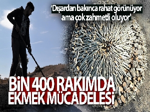 Mangal kömürü işçilerinin bin 400 rakımdaki zorlu mesaisi