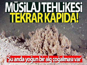 Marmara soğuyamıyor, müsilaj tehlikesi kapıda