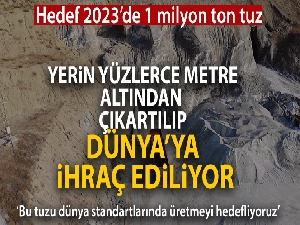Yerin yüzlerce metre altından çıkartılıyor, dünyaya ihraç ediliyor