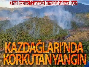 Kazdağları'nda korkutan yangın
