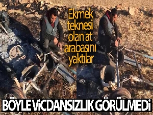 Böyle vicdansızlık görülmedi! Başında gözyaşı döktü