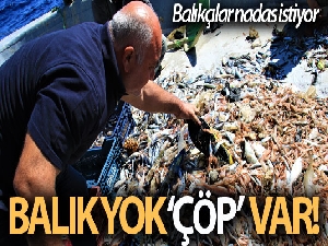 Akdeniz'de balıktan çok çöp çıkıyor, balıkçı nadas istiyor