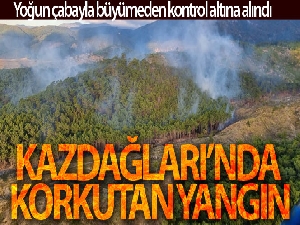 Kazdağları'ndaki yangın kontrol altına alındı
