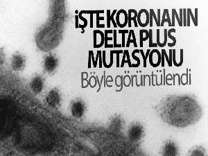 Rusya'da korona virüsün Delta Plus mutasyonu görüntülendi