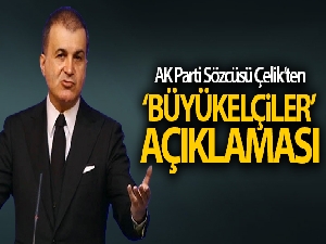 AK Parti sözcüsü Ömer Çelik'ten 'Büyükelçiler' açıklaması