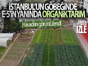 İstanbul'un göbeğinde, E-5'in yanında organik tarım
