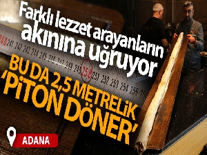 Bu da 2 buçuk metrelik 'piton döner'