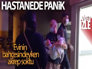 Erzincan'da küçük kızı akrep soktu!