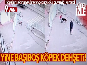 Köpeğin saldırısına uğrayan çocuğu okul güvenliği kurtardı