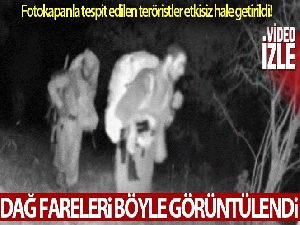PKK'lı teröristler fotokapana böyle yakalandı