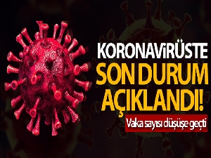 Türkiye'de  son 24 saatte 228 kişi hayatını kaybetti