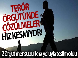 İçişleri Bakanlığı: '2 örgüt mensubu ikna yoluyla teslim oldu'