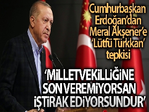 Cumhurbaşkanı Erdoğan'dan İYİ Parti'li Türkkan'a tepki