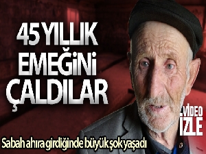 Çobanın 45 yıllık emeğini çaldılar