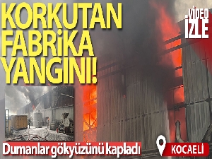Kocaeli'deki fabrika yangını kontrol altına alındı