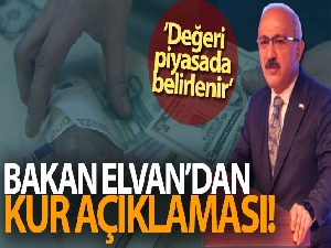 Hazine ve Maliye Bakanı Lütfü Elvan'dan kur açıklaması!