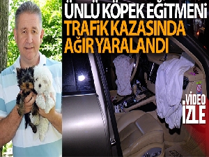 Ünlü köpek eğitmeni trafik kazasında ağır yaralandı