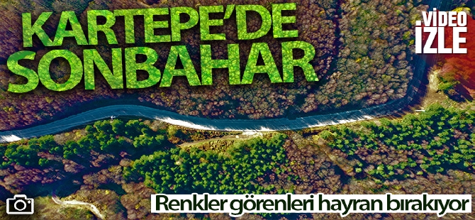 Jandarmadan sahte döviz basan kalpazanlara suçüstü operasyon kamerada