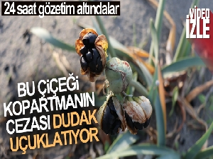 Bu çiçeği kopartmanın cezası dudak uçuklatıyor