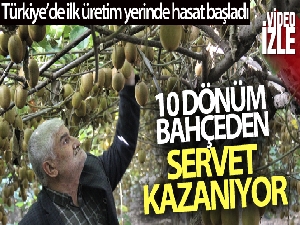 10 dönüm bahçeden 280 bin lira kazandı