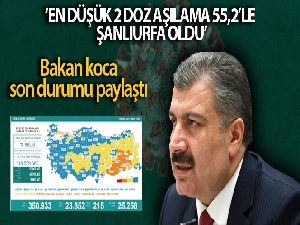 Son 24 saatte korona virüsten 215 kişi hayatını kaybetti