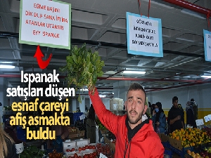 Ispanak satışları düşen esnaf çareyi afiş asmakta buldu