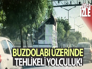 Buzdolabı üzerinde tehlikeli yolculuk