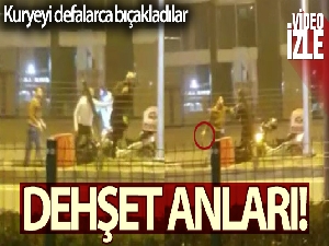 Kuryeyi defalarca bıçakladılar