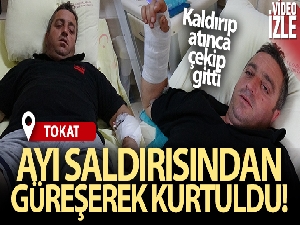 Ayı saldırısından güreşerek kurtuldu