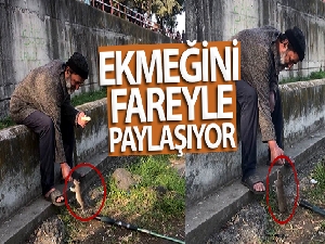 Kimsesiz adam ile farenin dostluğu: Ekmeğini fareyle paylaşıyor