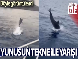 Yunusun tekne ile yarışı görsel şölen oluşturdu
