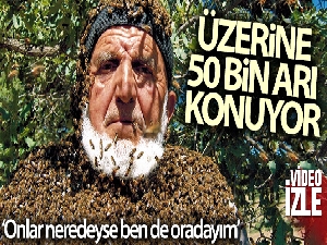 Üzerine 50 bin arı konuyor, maskesiz çalışıyor