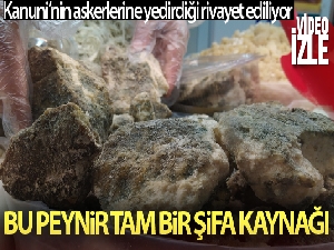 İşte Muhteşem Süleyman'ın ordusuna yedirdiği penisilin gibi peynir