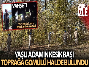 Yaşlı adamın kesik başı toprağa gömülü halde bulundu