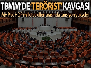 TBMM Plan ve Bütçe Komisyonunda 'terörist' tartışması