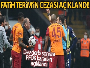 PFDK'dan Fatih Terim'e 6 maç ceza