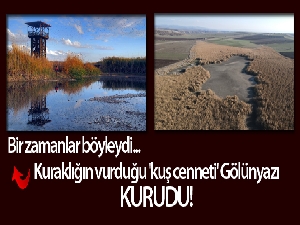 Kuraklığın vurduğu 'kuş cenneti' Gölünyazı kurudu