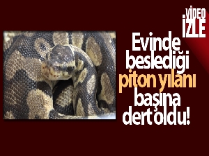 TikTok'tan paylaştı, 8 bin 692 lira ceza yedi